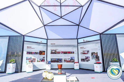 直擊第五屆江蘇志愿服務展示交流會開幕 蘇州市青年“手繪鄉(xiāng)村”志愿服務項目特展現(xiàn)場紀實